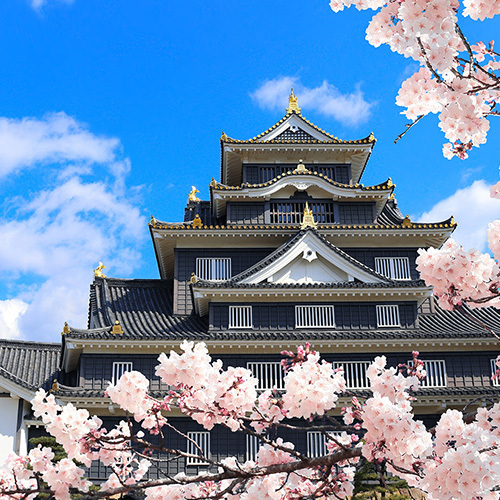 [진에어 탑승객 전용] 다카마쓰 오카야마 쿠라시키 미관지구 일일 버스 투어