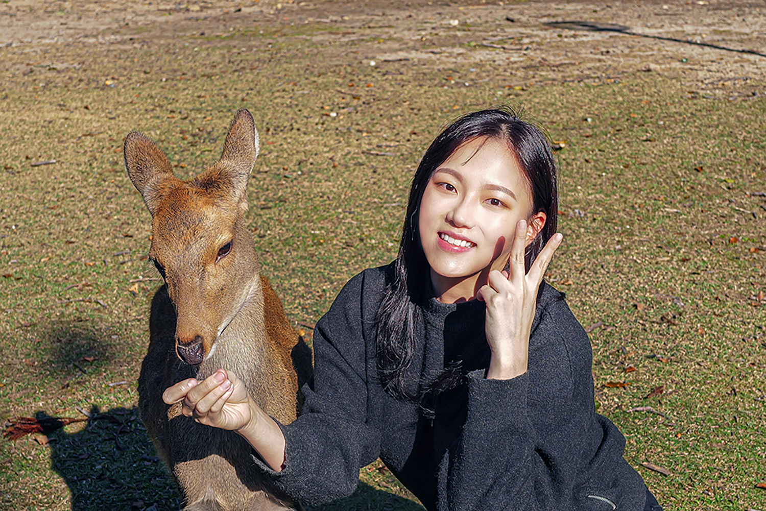 일본 오사카 출발 나라 교토 버스 투어