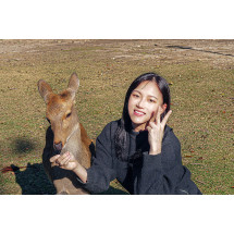 일본 오사카 출발 나라 교토 버스 투어