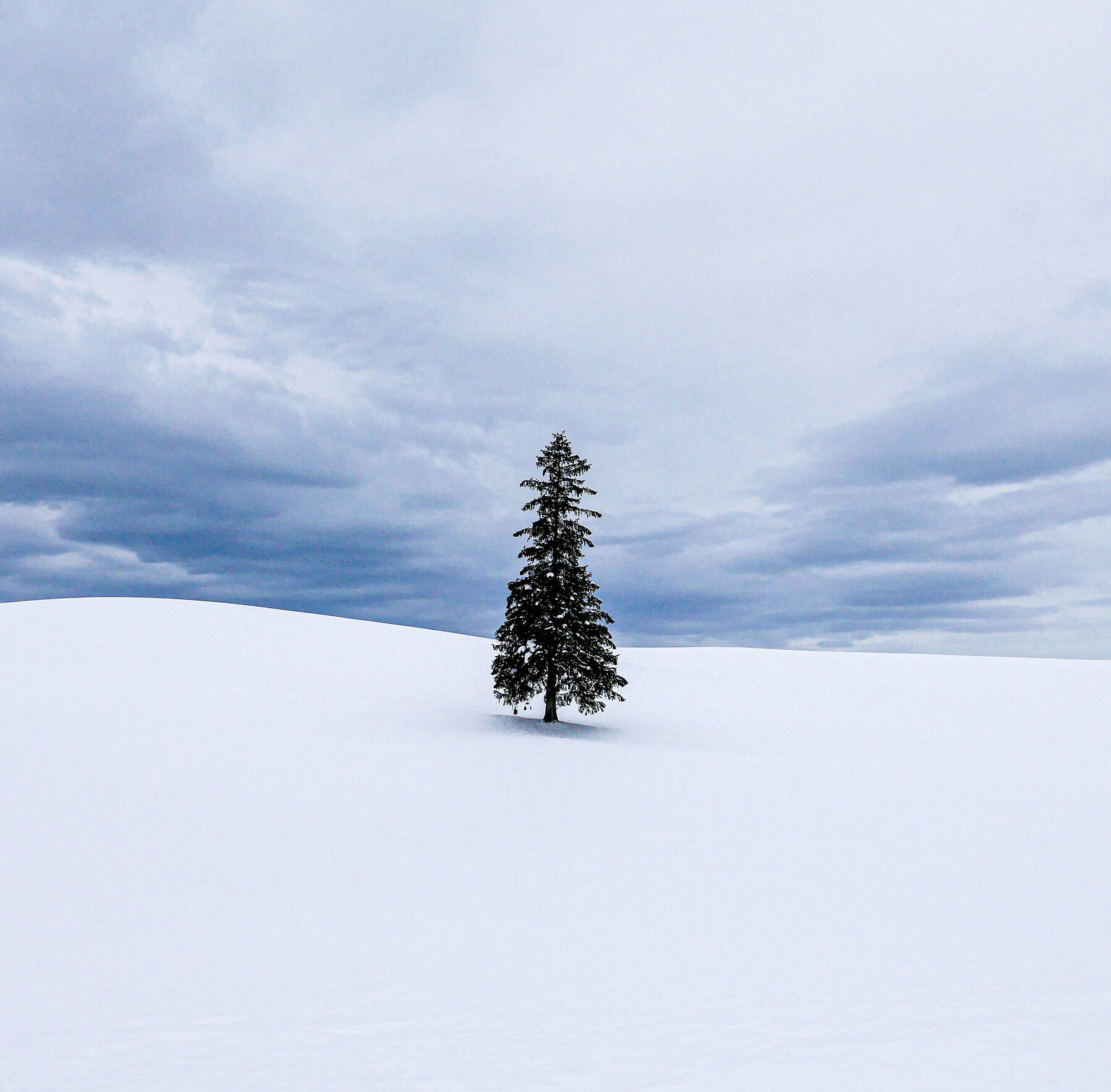 일본 북해도 삿포로 출발 비에이 버스 투어 그리고 무료 사진 촬영