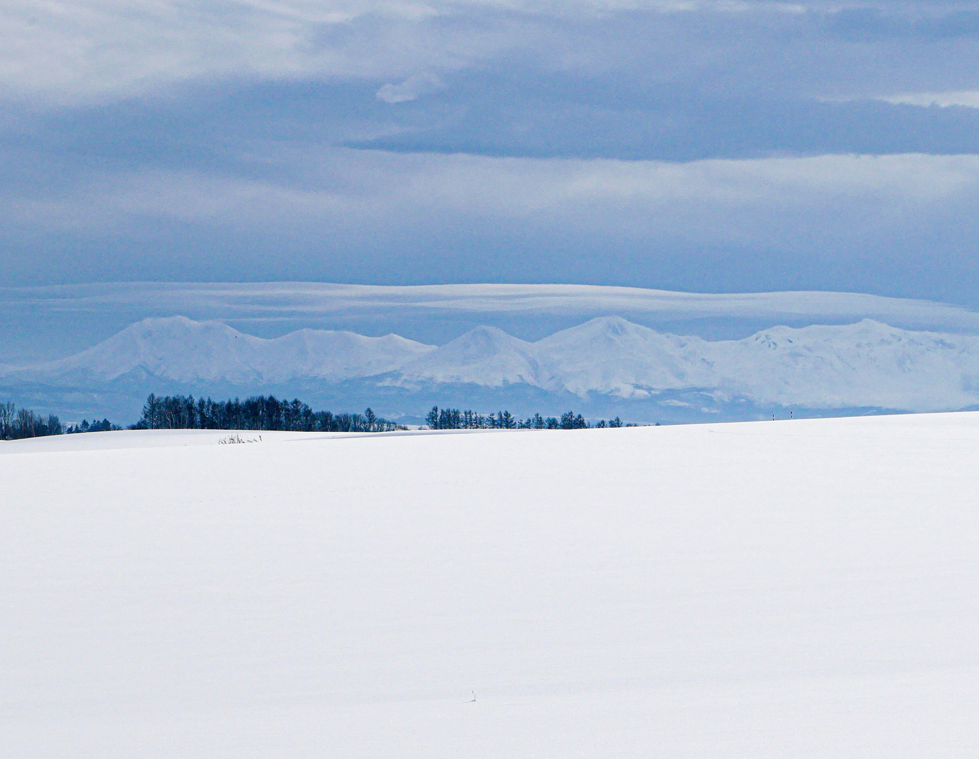 일본 북해도 삿포로 출발 비에이 버스 투어 그리고 무료 사진 촬영