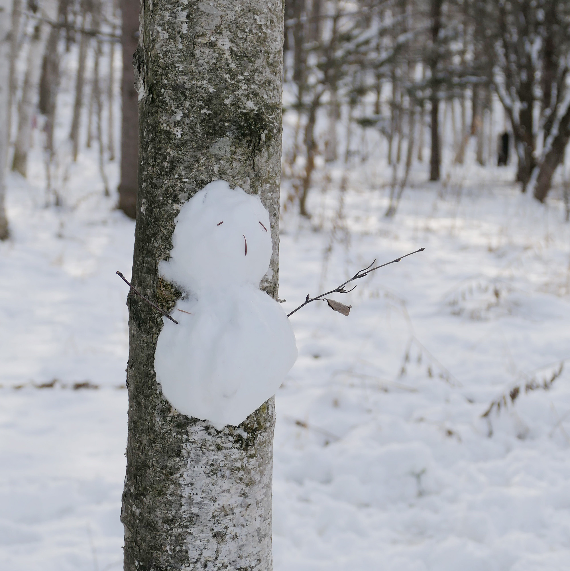 일본 북해도 삿포로 출발 비에이 버스 투어 그리고 무료 사진 촬영
