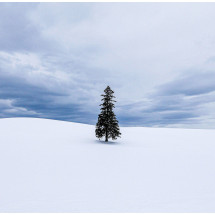 일본 북해도 삿포로 출발 비에이 버스 투어 그리고 무료 사진 촬영