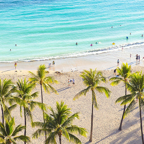 [호눌룰루 투어] 무료 사진촬영 포함, 호눌룰루 버스 투어