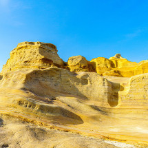 일본 교토 근교 시라하마·산단베키·엔게츠도 버스 투어