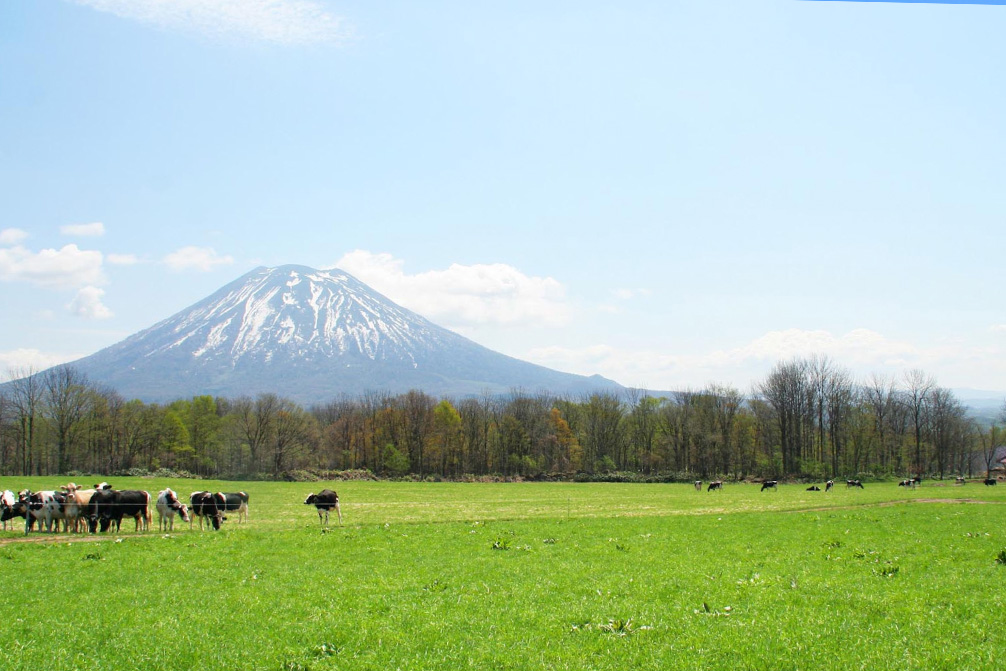 일본 북해도 삿포로 출발 노보리베츠 쇼와 신산, 도야, 니세코 버스 투어 여행