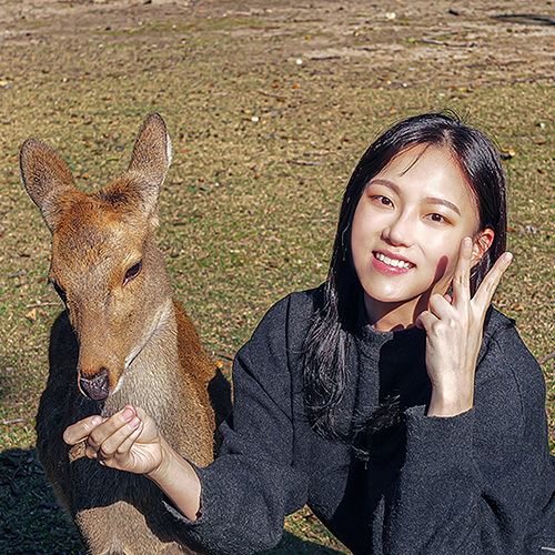 [진에어 탑승객 전용] 일본 오사카 출발 나라 우지 교토 버스 투어