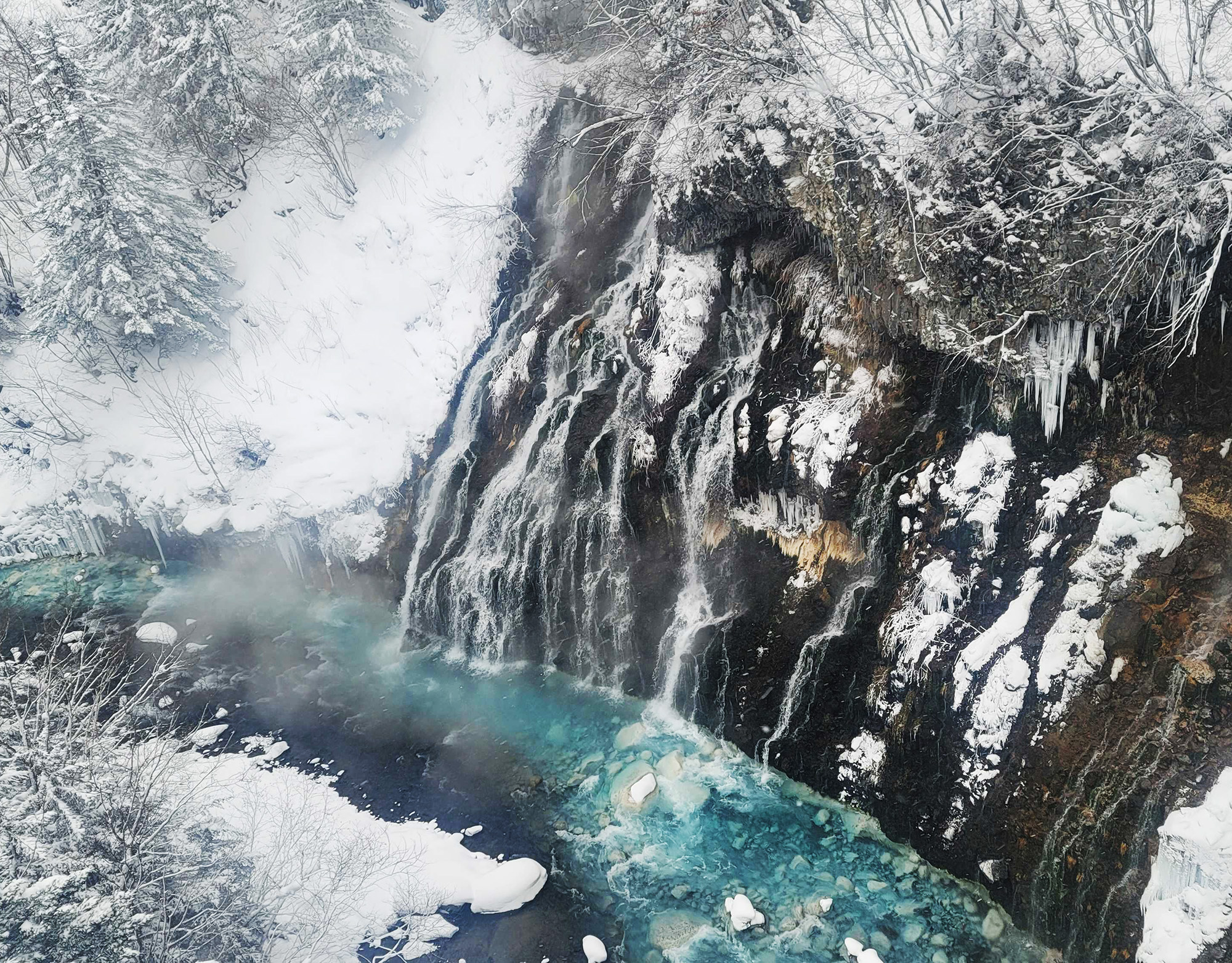 [진에어 탑승객 전용] 일본 북해도 삿포로 출발 비에이 버스 투어 그리고 무료 사진 촬영