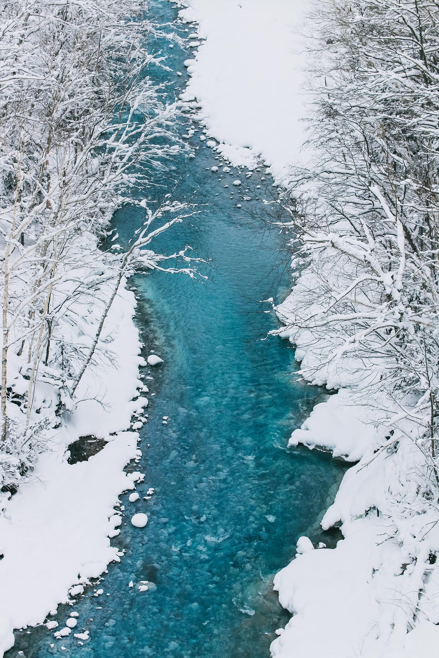 [진에어 탑승객 전용] 일본 북해도 삿포로 출발 비에이 버스 투어 그리고 무료 사진 촬영