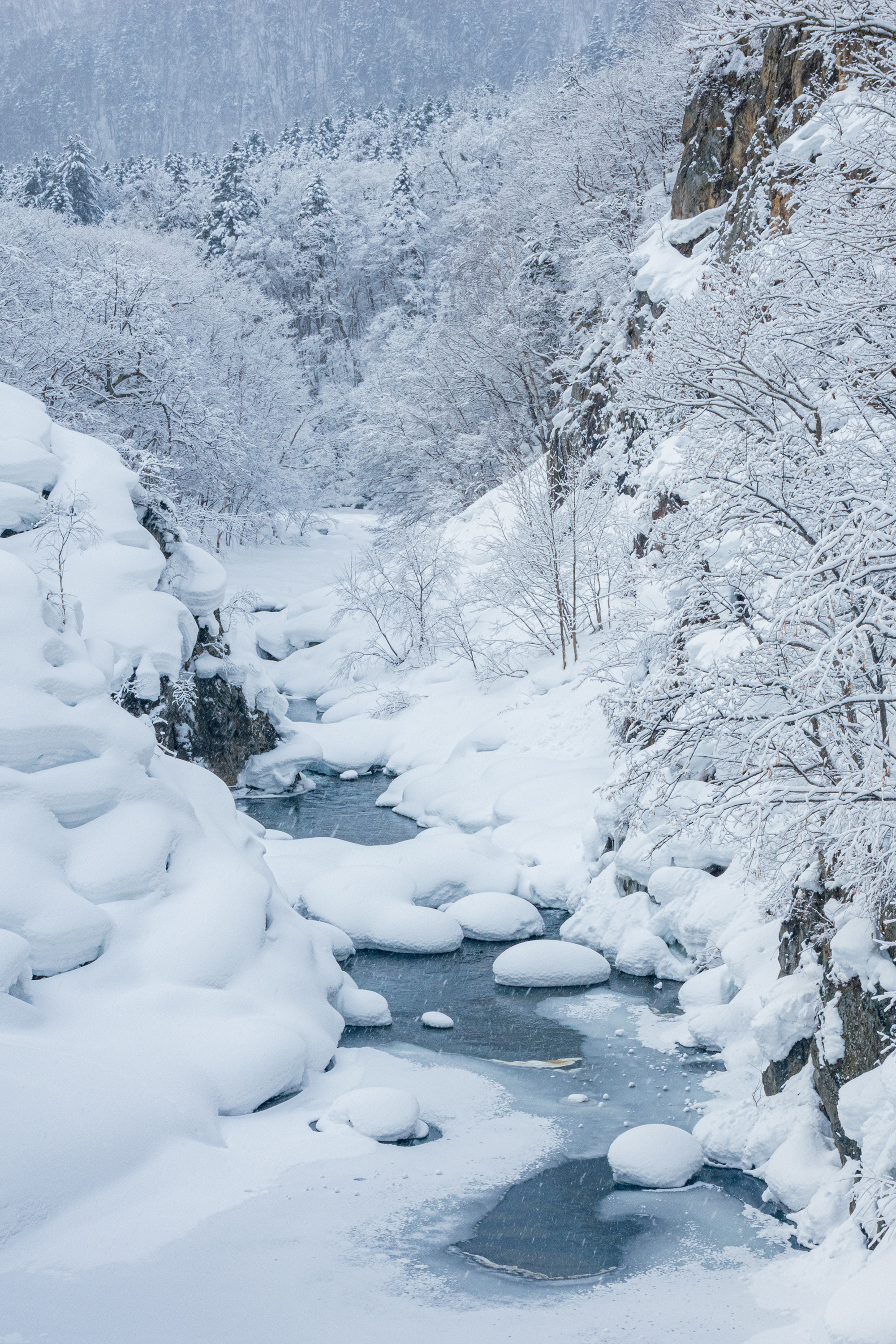일본 북해도 삿포로 출발 샤코탄 오타루 버스 투어 여행 그리고 무료 사진 촬영