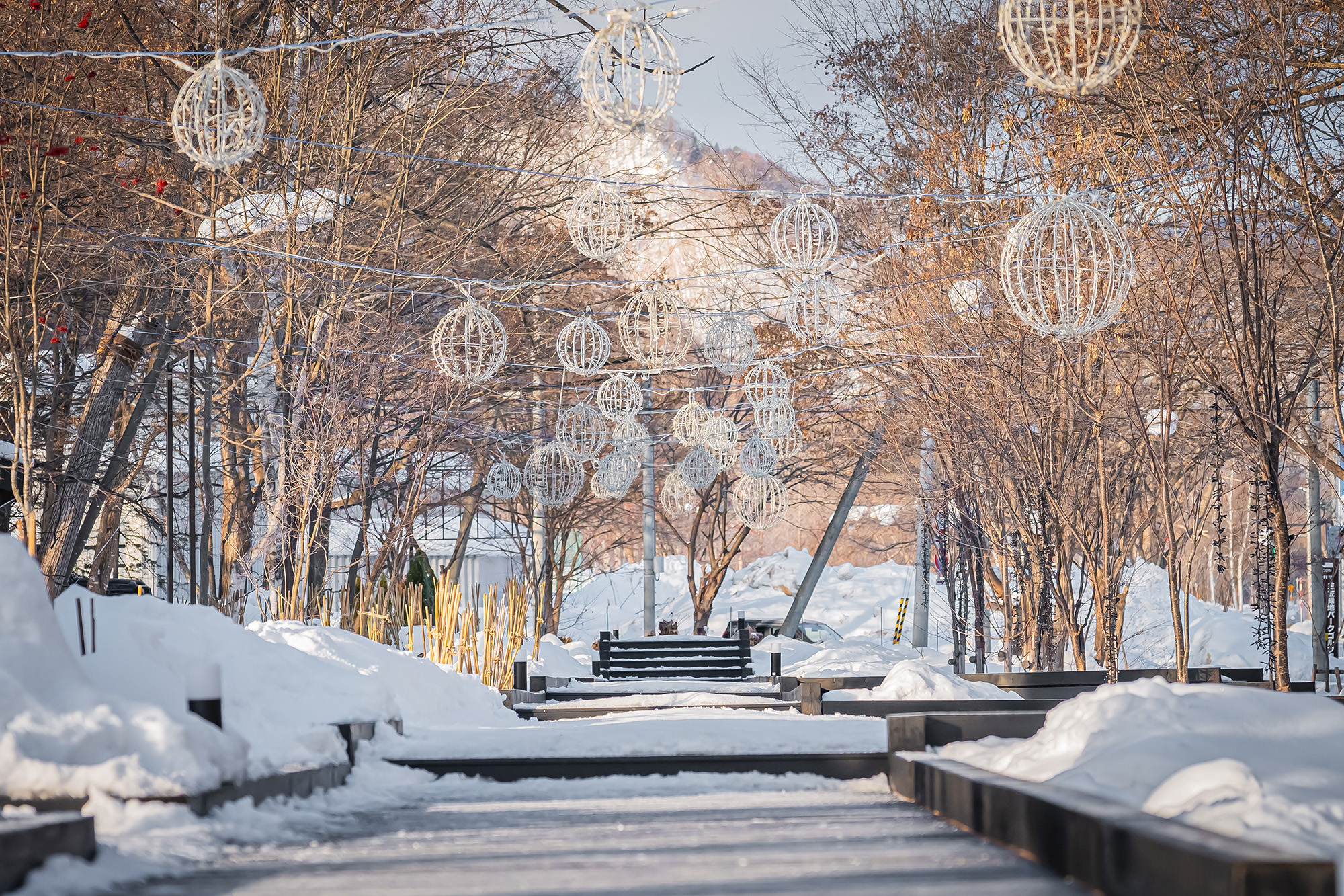 일본 북해도 삿포로 출발 샤코탄 오타루 버스 투어 여행 그리고 무료 사진 촬영