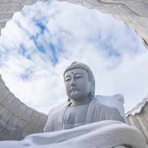 일본 북해도 삿포로 출발 샤코탄 오타루 버스 투어 여행 그리고 무료 사진 촬영