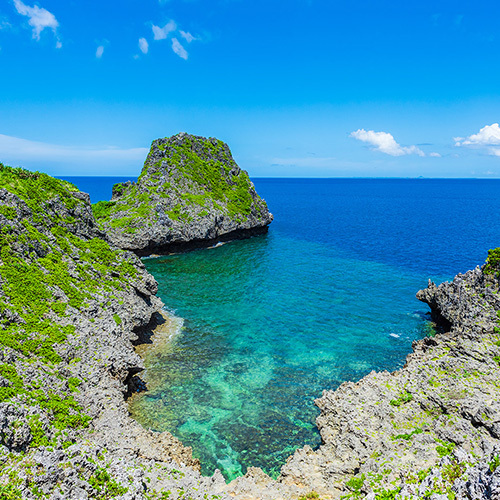 오키나와 스노쿨링 개인 맞춤 체험 여행 (무료 사진, 동영상 촬영)