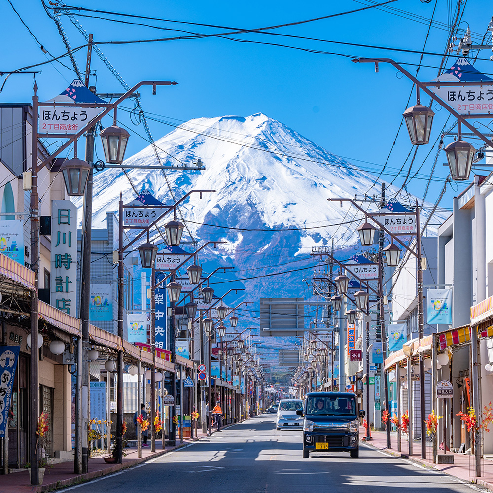 [한국인 여행 안내원] 후지산 사진명소 버스 투어 센겐공원·히카와 시계점·오시노핫카이