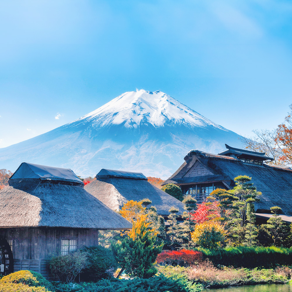 [한국인 여행 안내원] 후지산 사진명소 버스 투어 센겐공원·히카와 시계점·오시노핫카이
